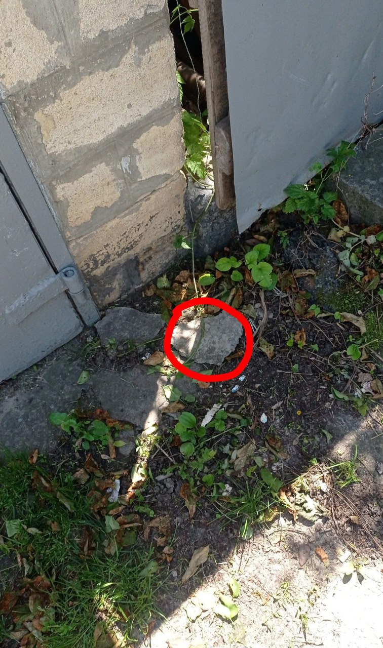 Результат загрузки фото 1