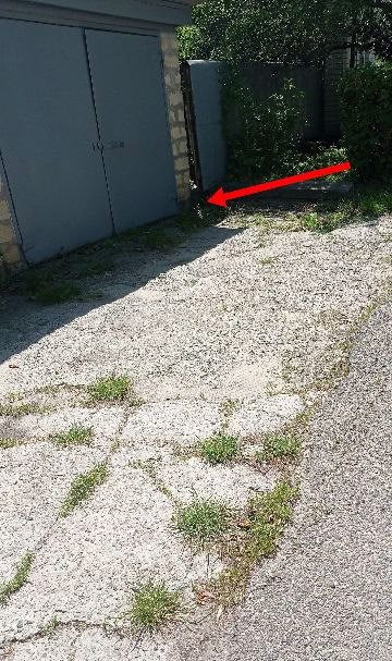 Результат загрузки фото 2